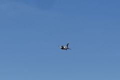 IMG_9632