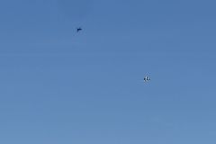 IMG_9636
