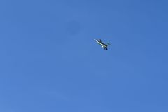 IMG_9645