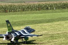 Schmerlat-2025008